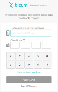 Proceso de Compra con Bizum